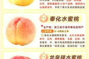 北京水蜜桃哪里买最正宗_北京水蜜桃几月份成熟
