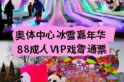 奥体冰雪嘉年华门票价格_有什么好玩的