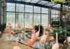 北京有几个动物园_北京动物园哪个最好玩