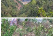 中山户外网_周末去哪爬山