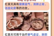 高原红景天副作用有哪些_红景天胶囊吃了会上火吗