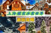 上海冰雪节在哪里举办_上海冰雪世界门票多少钱