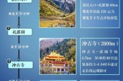 1岁宝宝去高原反应怎么办_高原旅行注意事项