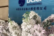北京贝尔怎么样_北京贝尔地址在哪里