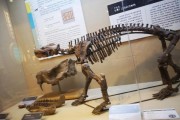 北京古生物博物馆门票价格_值得去吗