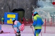 武汉冰雪王国冰雪奇缘门票多少钱_亲子游玩攻略