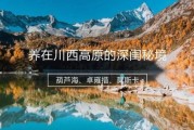 芦红高原在哪里_芦红高原旅游攻略