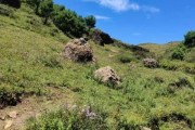 大山包高原红什么时候去最好_高原红摄影技巧