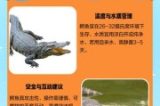 高原能养鳄鱼吗_高原养鳄鱼需要什么条件