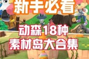 动森冰雪岛怎么解锁_动森冰雪岛什么时候开放