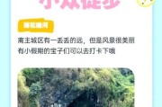重庆山夫户外旅游怎么样_徒步路线推荐