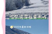 雾松冰雪节门票价格_雾松冰雪节在哪举办