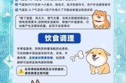 哈士奇冰雪天气怎么养_雪地遛狗注意事项