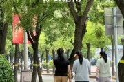 北京未来7天天气预报_北京今天穿什么衣服合适