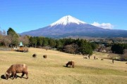 富士山高原最佳季节_富士山高原怎么去