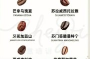 高原咖啡好喝吗_高原咖啡产地在哪里