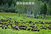 锡林郭勒盟属于高原吗_锡林郭勒盟海拔多少米