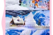 重庆冰雪欢乐在哪里_重庆冰雪欢乐门票多少钱