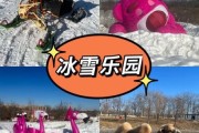 株洲三只熊冰雪王国门票价格_值得去吗