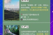 广州有什么户外活动_广州周末去哪玩