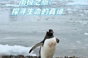 南极洲冰雪之地旅游攻略_南极洲冰雪之地怎么去