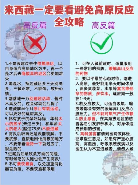 坐飞机去拉萨会高反吗_如何预防高原反应