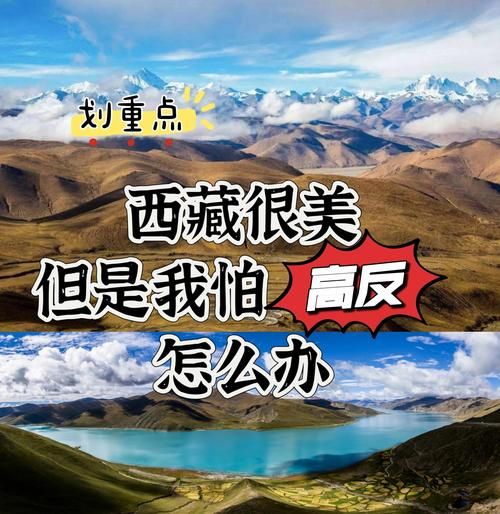 高原发冷是什么原因_高原发冷怎么办