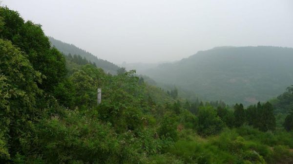 高原陵在哪_高原陵门票多少钱