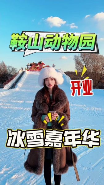 鞍山冰雪嘉年华门票价格_鞍山冰雪嘉年华开放时间
