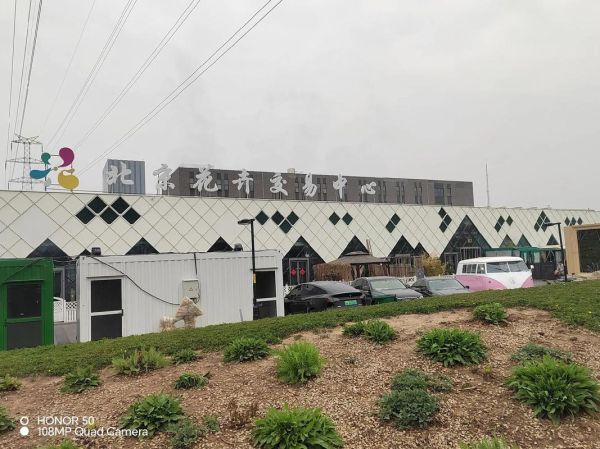 北京花卉市场在哪里_北京花卉市场营业时间