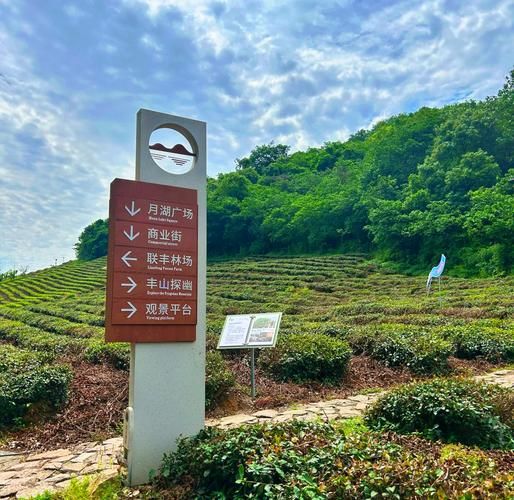 海盐户外露营去哪里_海盐徒步路线推荐