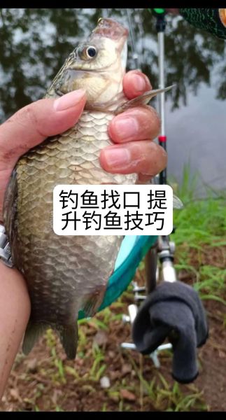 户外捕鱼需要准备什么_新手如何选钓点