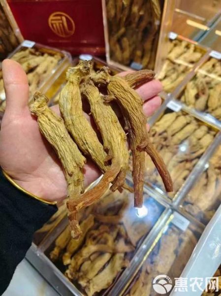 四川高原参功效与作用_四川高原参多少钱一斤