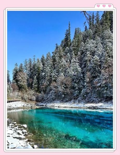 去九寨沟有高原反应吗_九寨沟海拔多少米