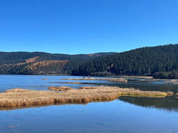 高原湖泊在哪里_高原湖泊有哪些特点