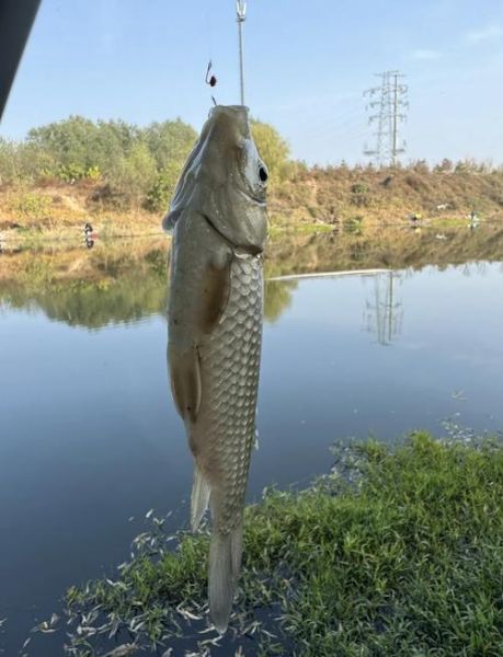 北京垂钓地点推荐_北京野钓好去处