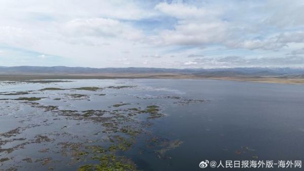 高原下来耳朵听不到怎么办_高原下来耳朵听不见多久恢复