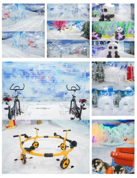 成都冰雪极地嘉年华门票价格_有什么好玩的