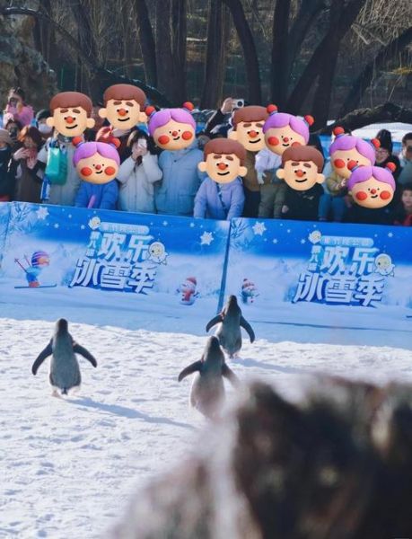 冰雪节怎么玩_冰雪节有哪些特色活动