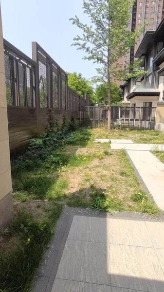 北京三环内独栋别墅多少钱_北京三环内独栋别墅有哪些