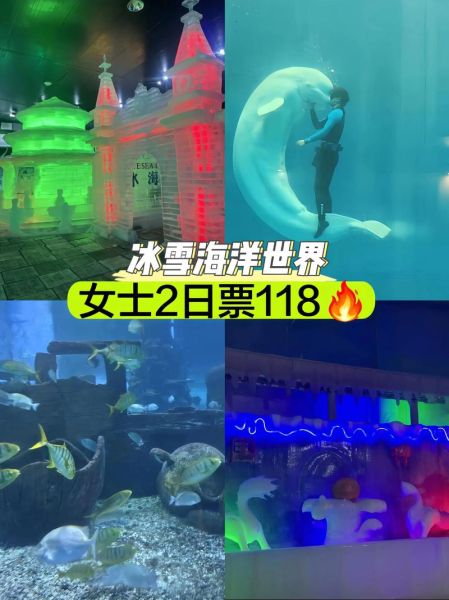 云南冰雪海洋世界在哪里_门票多少钱