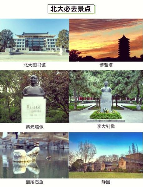 北京大学图书馆开放时间_北京大学图书馆怎么预约