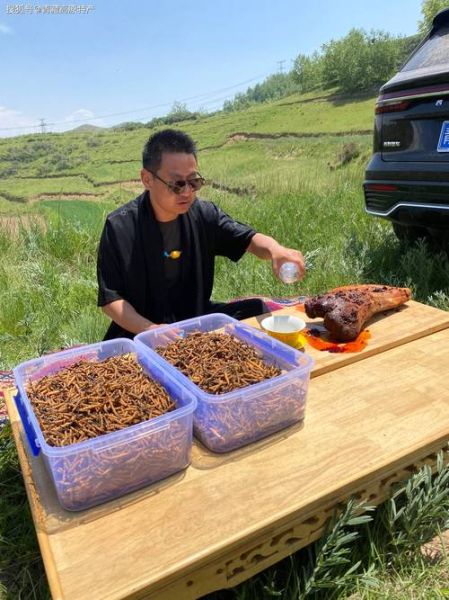 高原胃口不好怎么办_高原食欲不振怎么调理