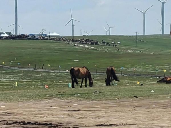 高原羽绒服怎么选_高原羽绒服哪个牌子好