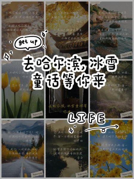 冰雪童话实体店在哪里_冰雪童话实体店怎么加盟