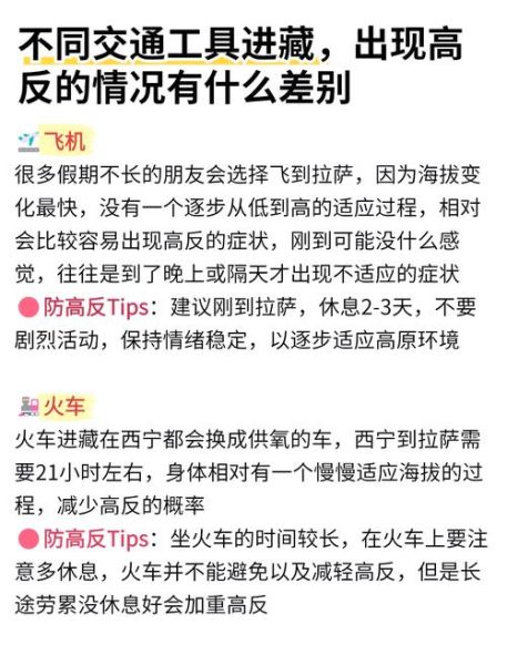 坐飞机去高原会不会高反_如何预防坐飞机高原反应