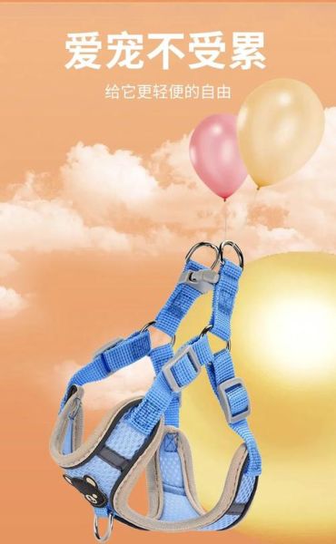 户外绳怎么选_户外绳多久换一次