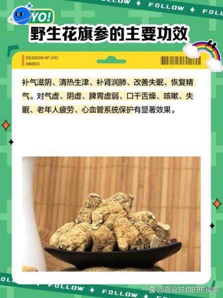 高原反应吃花旗参有用吗_花旗参怎么吃抗高反