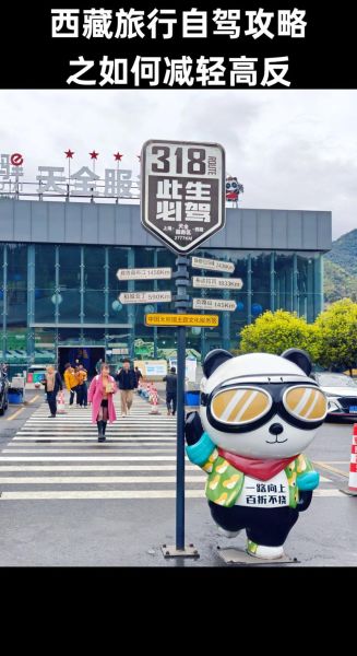 高原反应对车有影响吗_去西藏自驾如何预防