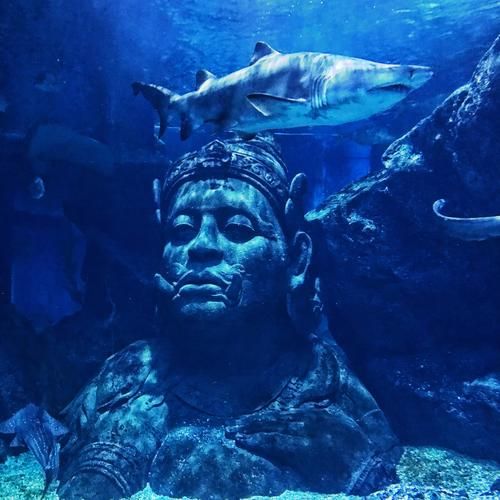 暹罗冰雪世界门票价格_暹罗冰雪世界值得去吗